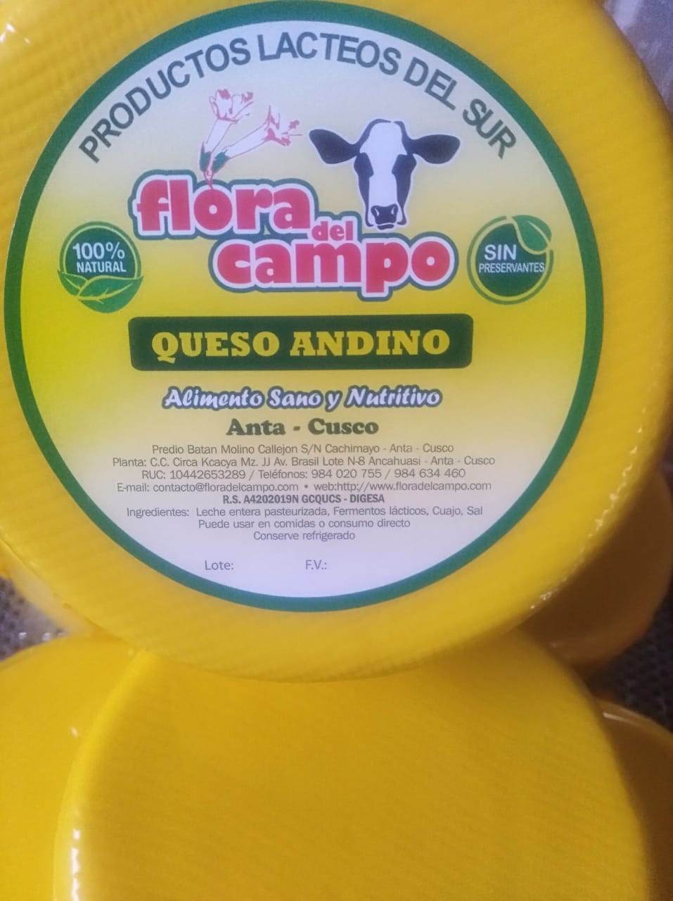 Queso Andino floradelcampo