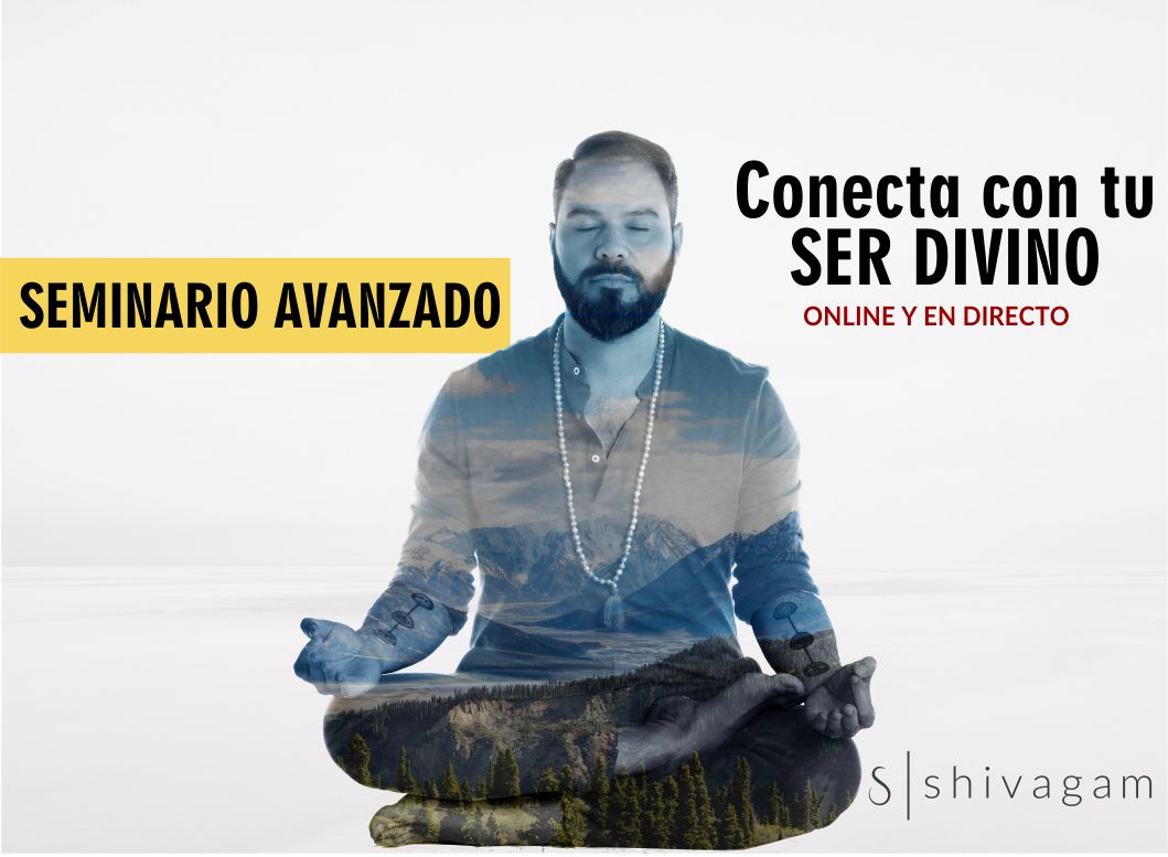 Evento Online