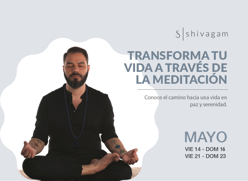 Evento Online