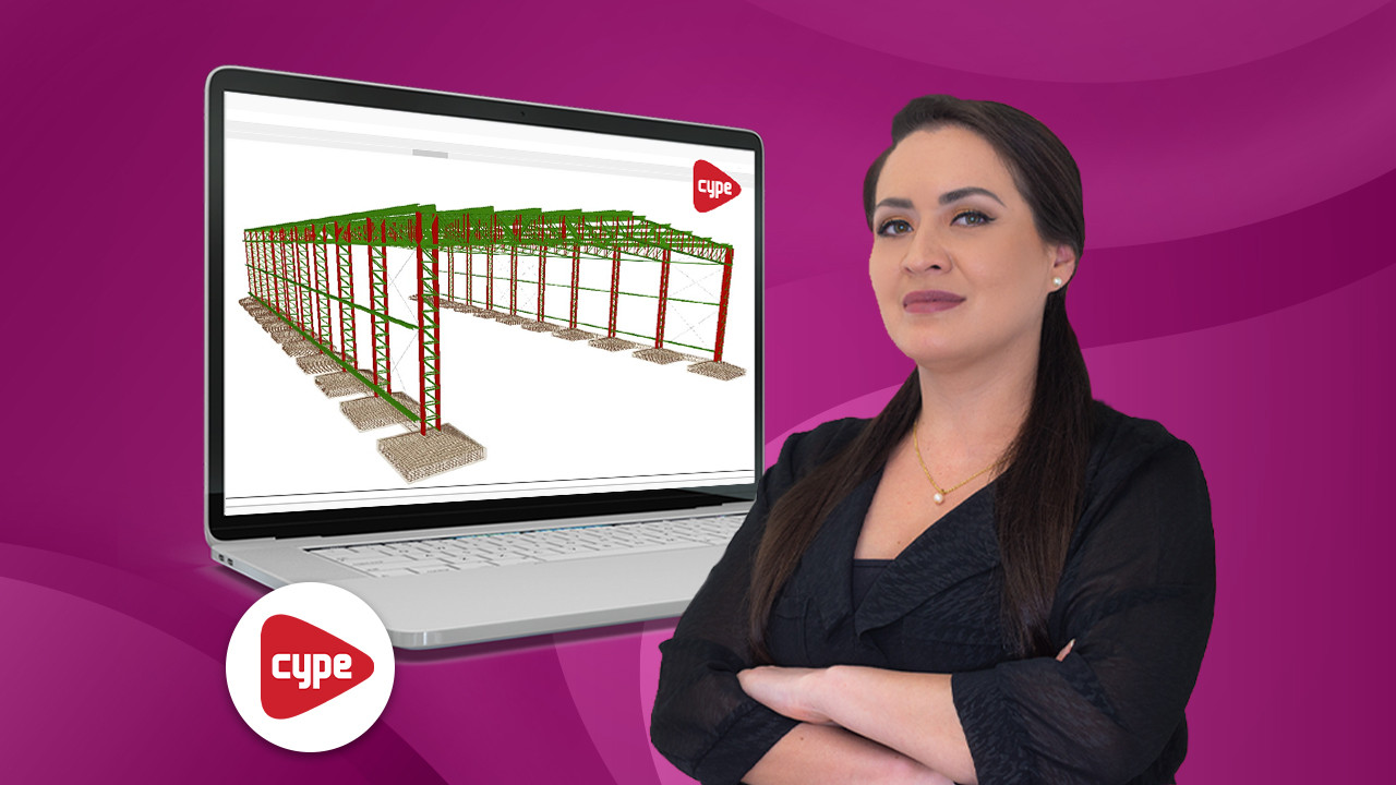Análisis y diseño de estructuras metálicas con CYPE3D
